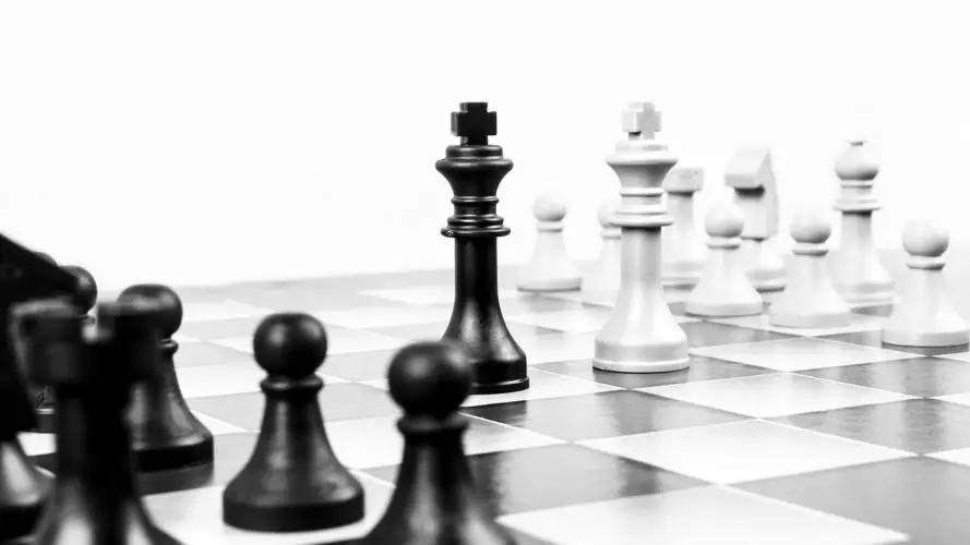 chess 316657