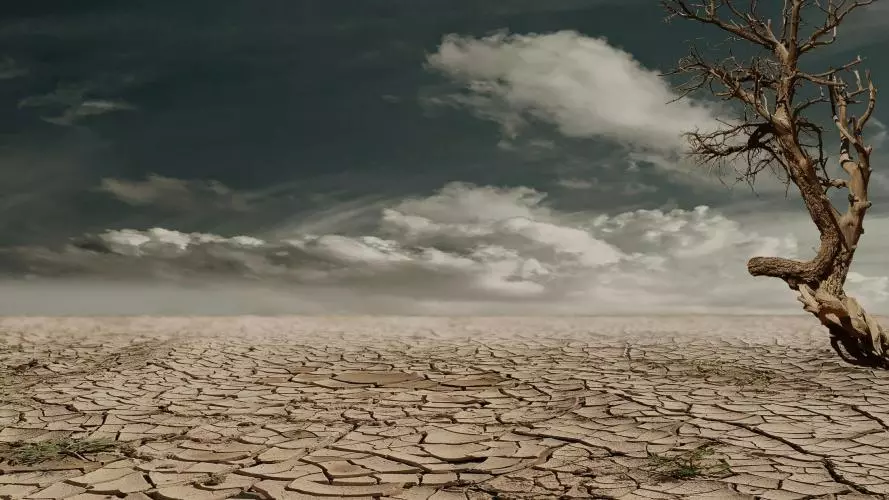 climate change