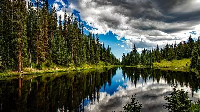 reflection