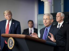 Trump and Fauci